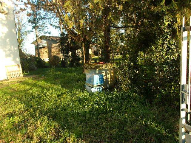 Villa a Ravenna in Via Martinella, 13 - Foto 3