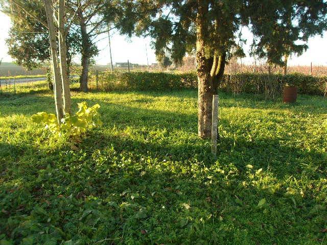 Villa a Ravenna in Via Martinella, 13 - Foto 4