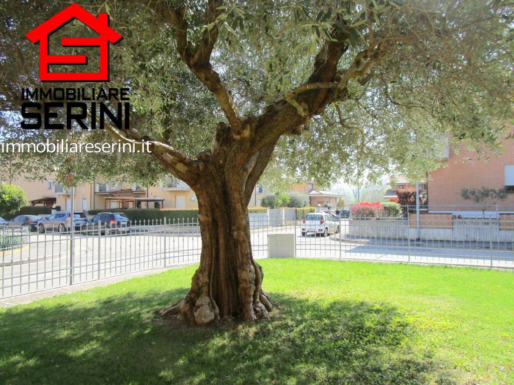 Villa a Corridonia in Via Cecchino Vanni, 149 - Foto 4