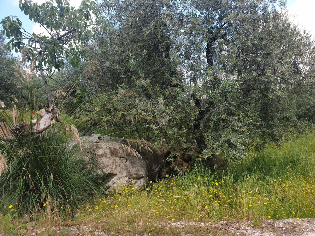 Terreno a Terracina in Via del Cimitero - Foto 2