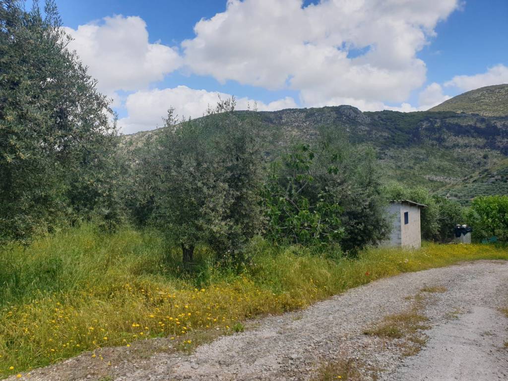 Terreno a Terracina in Via del Cimitero - Foto 3