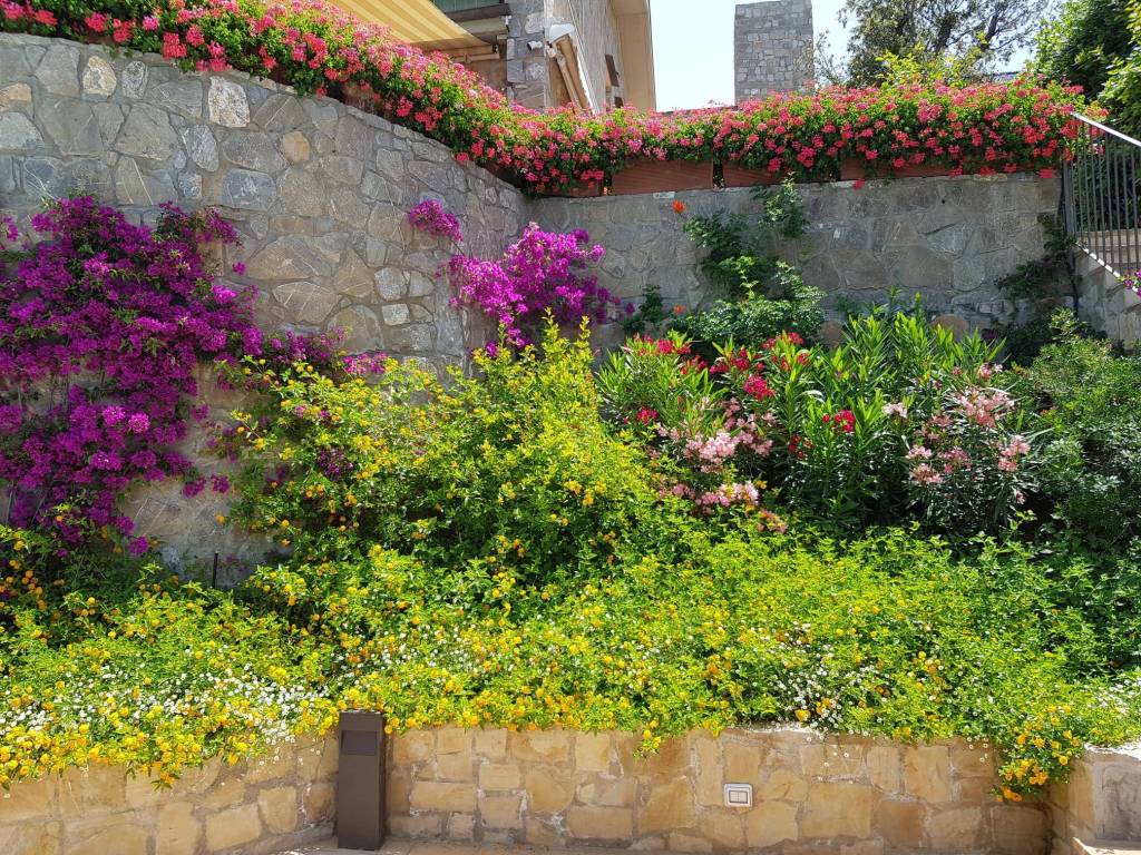 Villa a Castiglione della pescaia - Foto 4