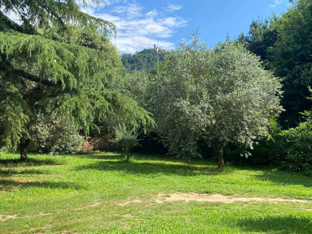 Villa a Camaiore - Foto 3