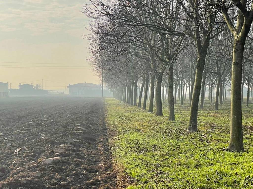 Terreno a Rosà - Foto 4