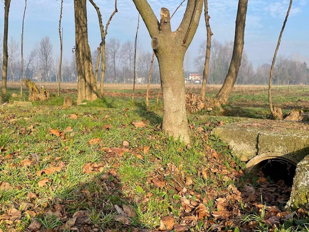 Terreno a Rosà - Foto 5
