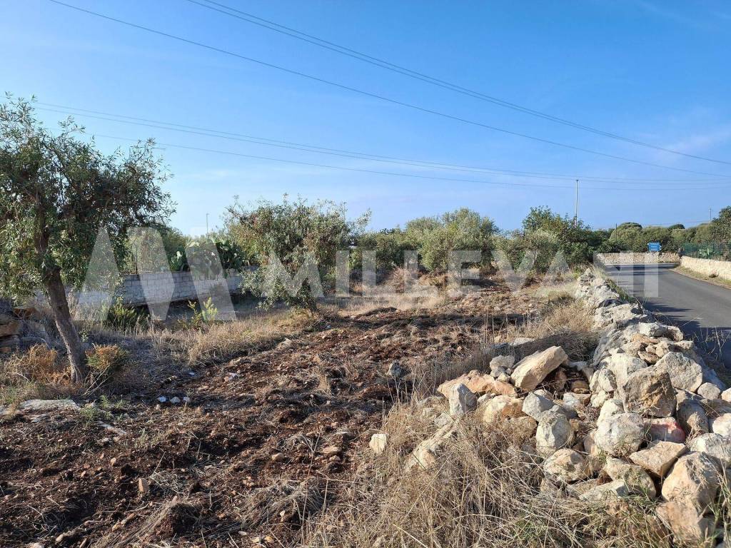 Terreno a Pozzallo in Contrada Bosco Pisana - Foto 4