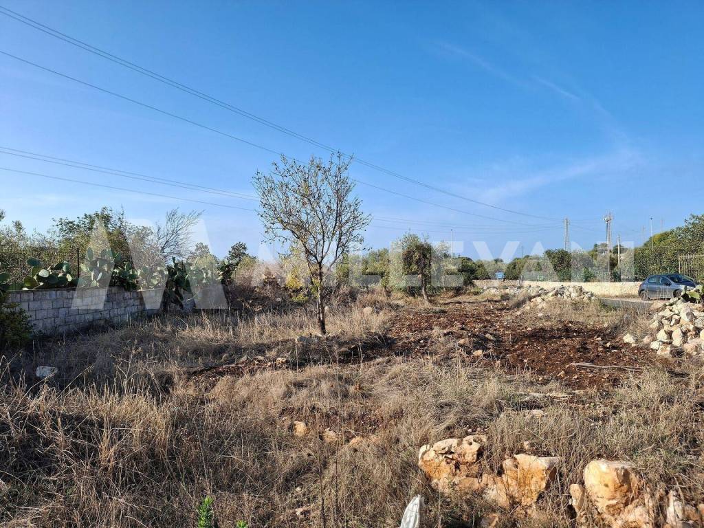 Terreno a Pozzallo in Contrada Bosco Pisana - Foto 5