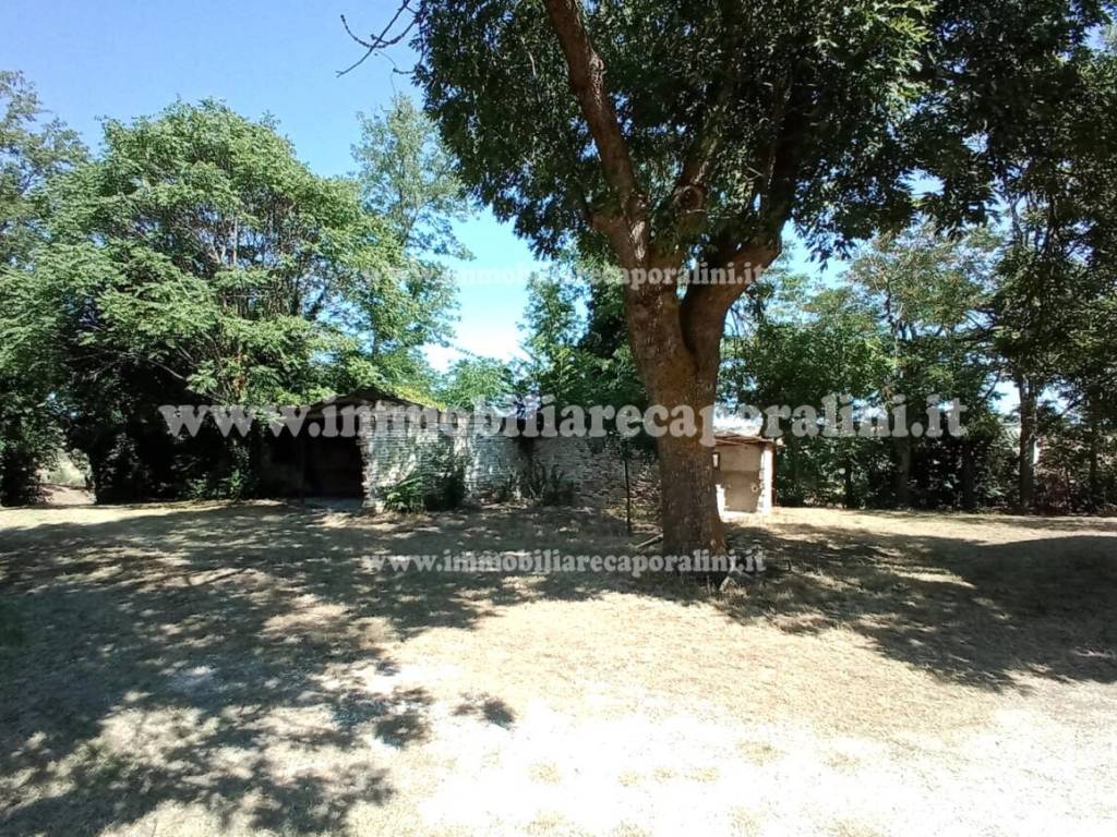 Terreno a Montecassiano - Foto 3