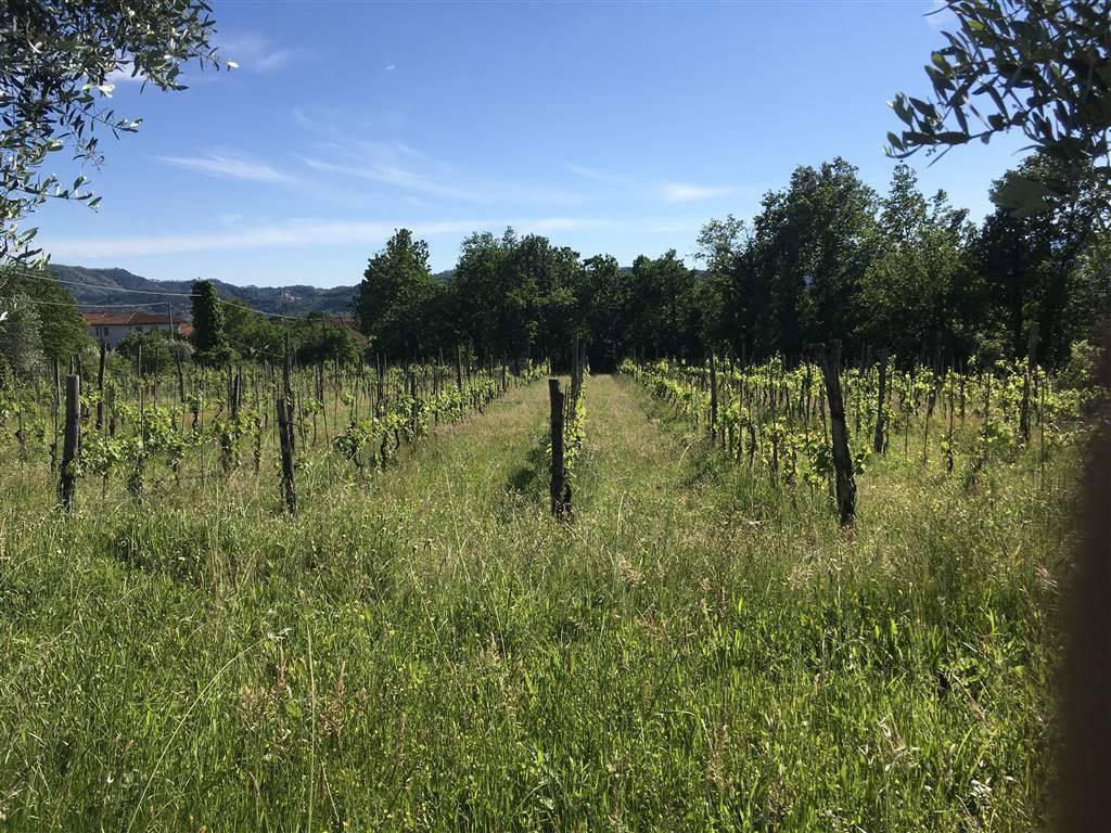 Terreno a Santo stefano di magra - Foto 4