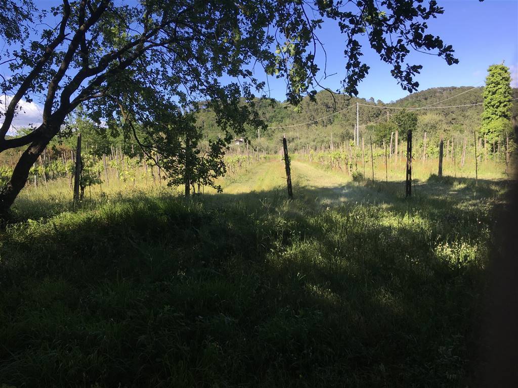 Terreno a Santo stefano di magra - Foto 5