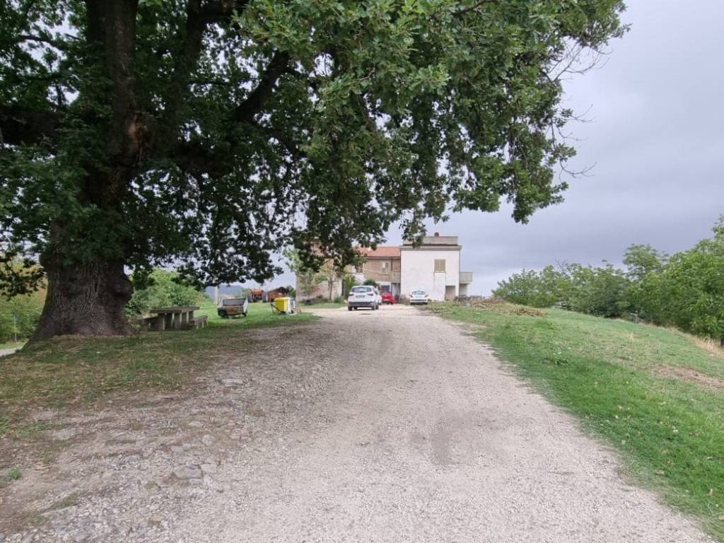 Terreno a Penne in SP52 - Foto 2