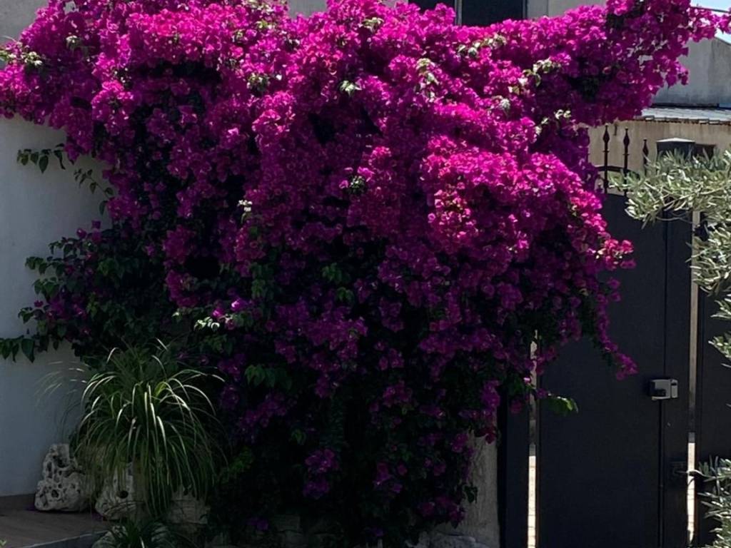 Villa a San felice circeo in Via Giuseppe Verdi - Foto 5