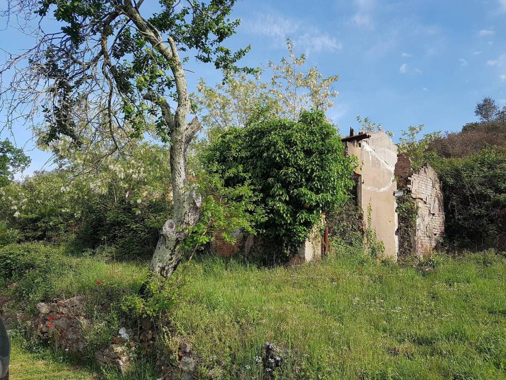 Rustico / casale a Massa marittima in Strada Provinciale Capanne - Foto 3