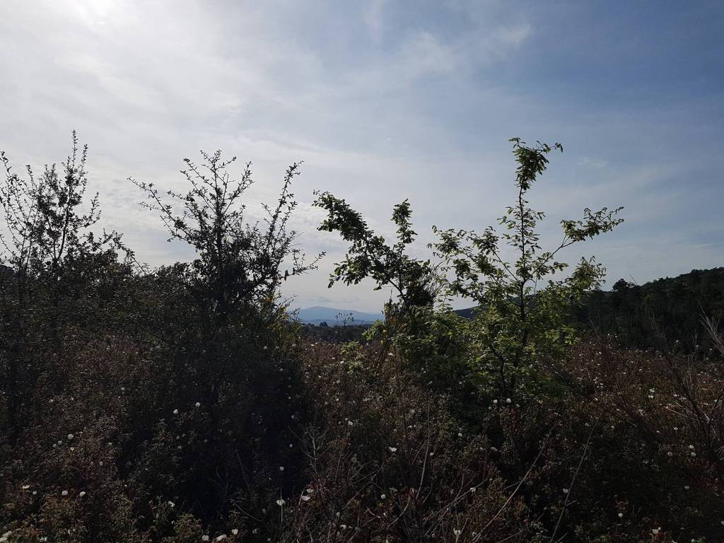 Rustico / casale a Massa marittima in Strada Provinciale Capanne - Foto 5