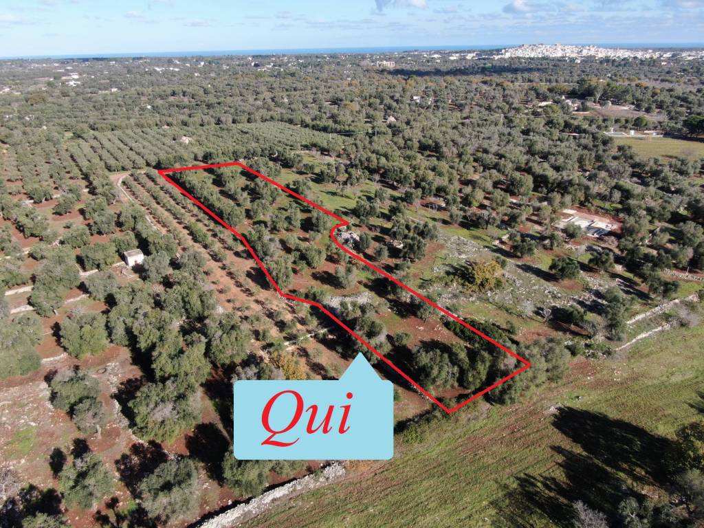 Terreno a Carovigno in Contrada Santo Scalone - Foto 2