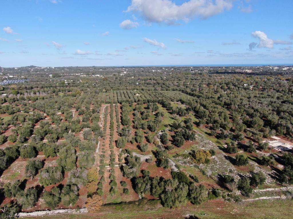 Terreno a Carovigno in Contrada Santo Scalone - Foto 3