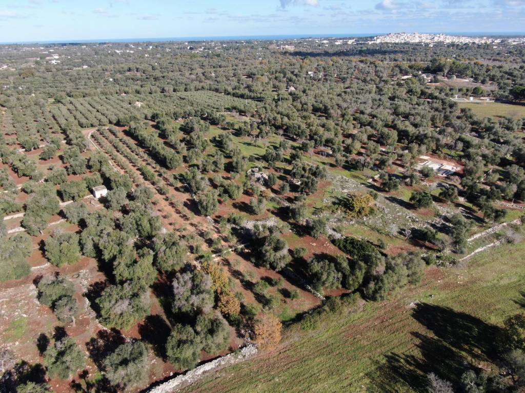 Terreno a Carovigno in Contrada Santo Scalone - Foto 4