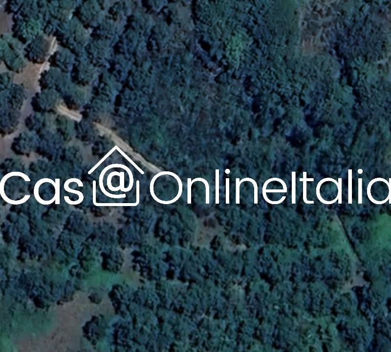 Terreno a Tuoro sul trasimeno in Svincolo Tuoro - Foto 2
