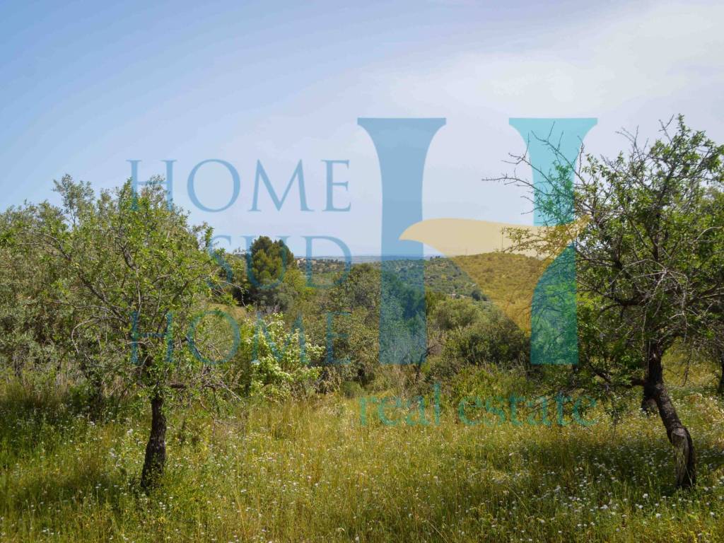Terreno a Noto in Via Tommaso Fazello, 228 - Foto 2