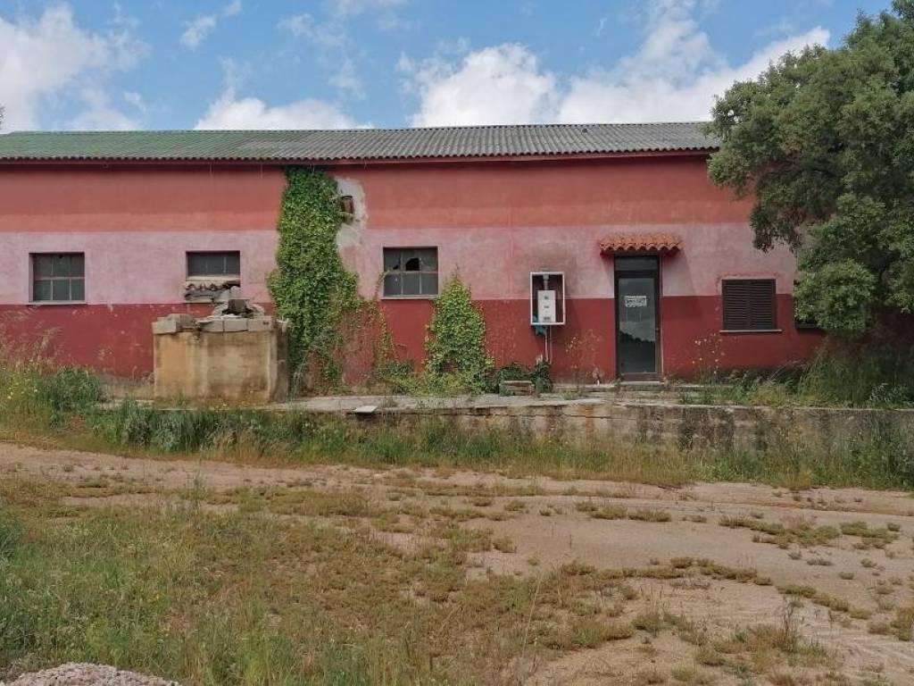 Immobile a Aggius in LocalitÃ Terrabau - Foto 2