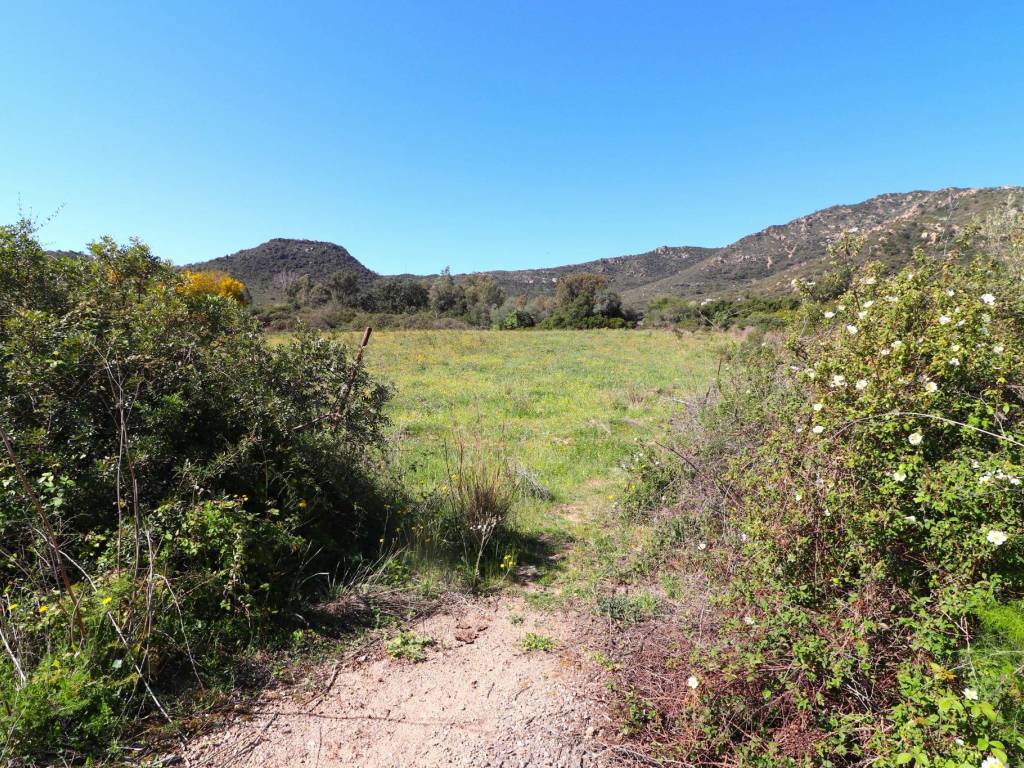 Terreno a Girasole in Via Italia - Foto 2