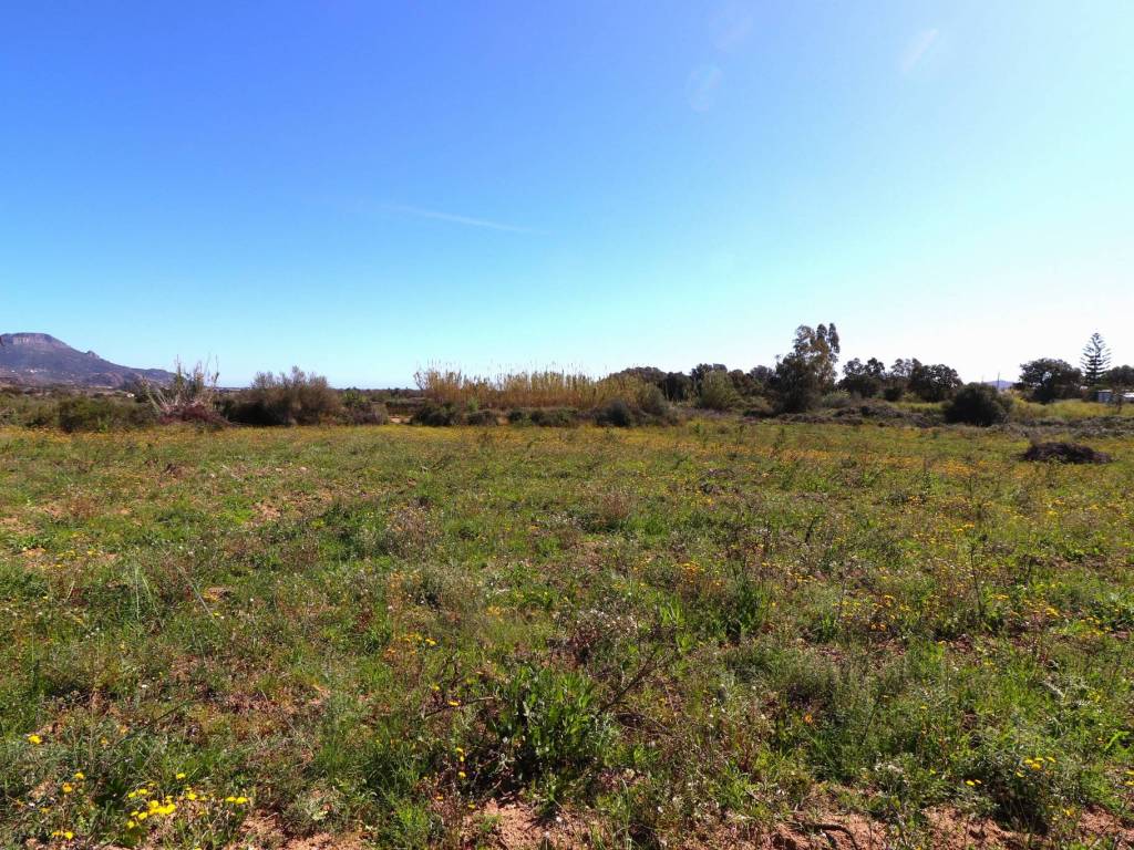 Terreno a Girasole in Via Italia - Foto 3