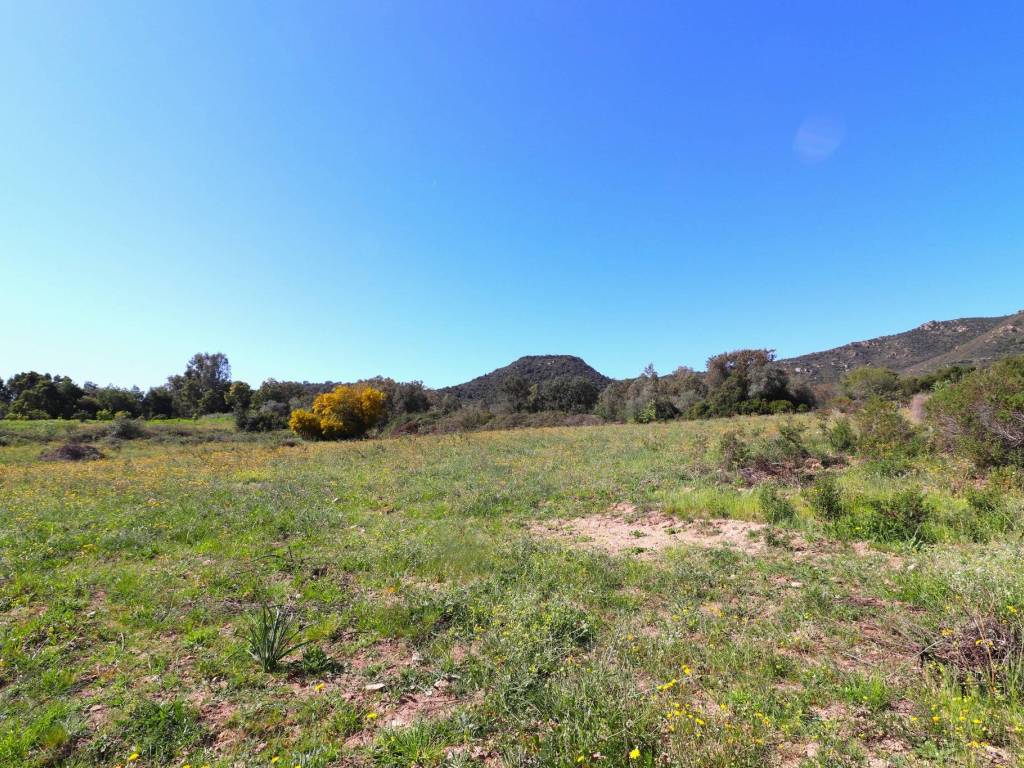 Terreno a Girasole in Via Italia - Foto 5