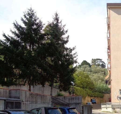 Immobile a La spezia - Foto 5