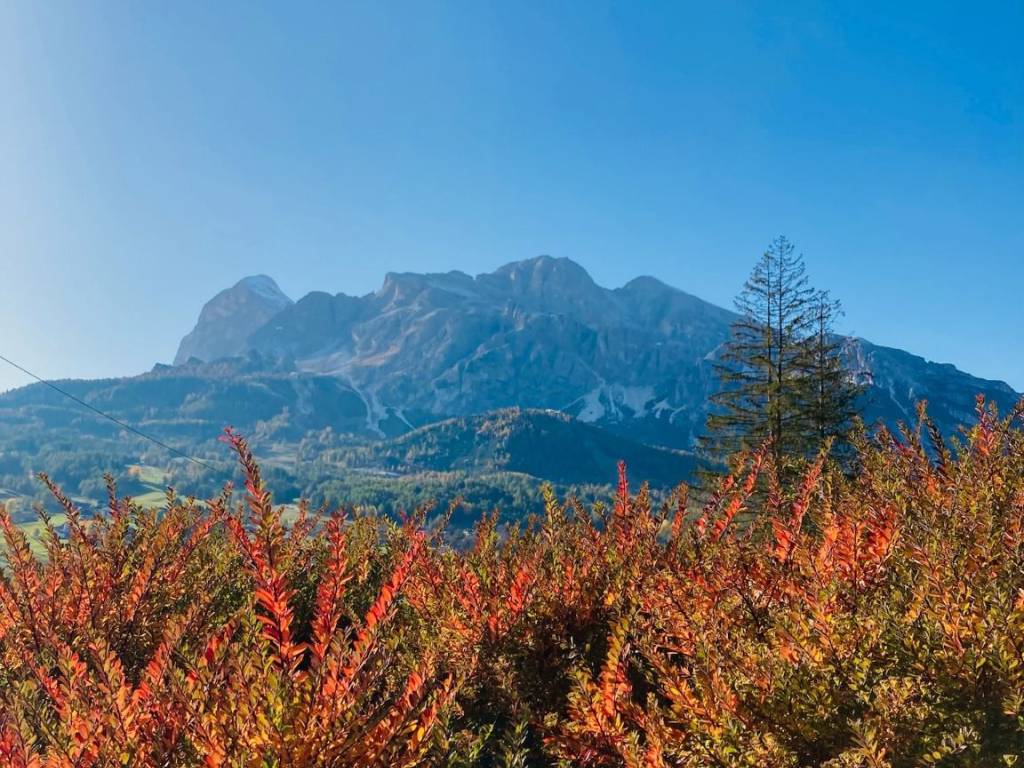 Appartamento a Cortina d'ampezzo - Foto 5