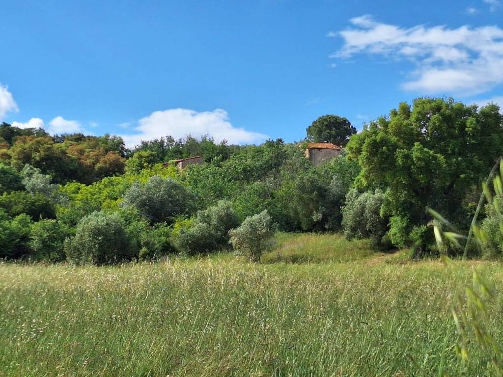 Rustico / casale a Roccastrada - Foto 2