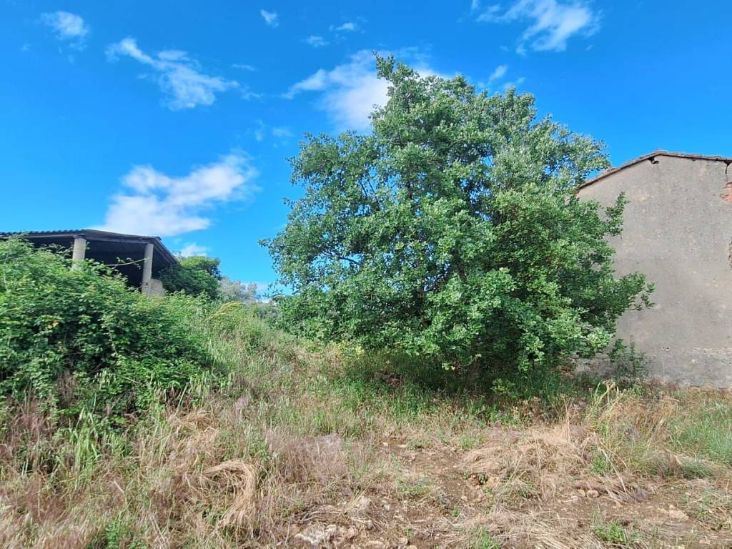 Rustico / casale a Roccastrada - Foto 3