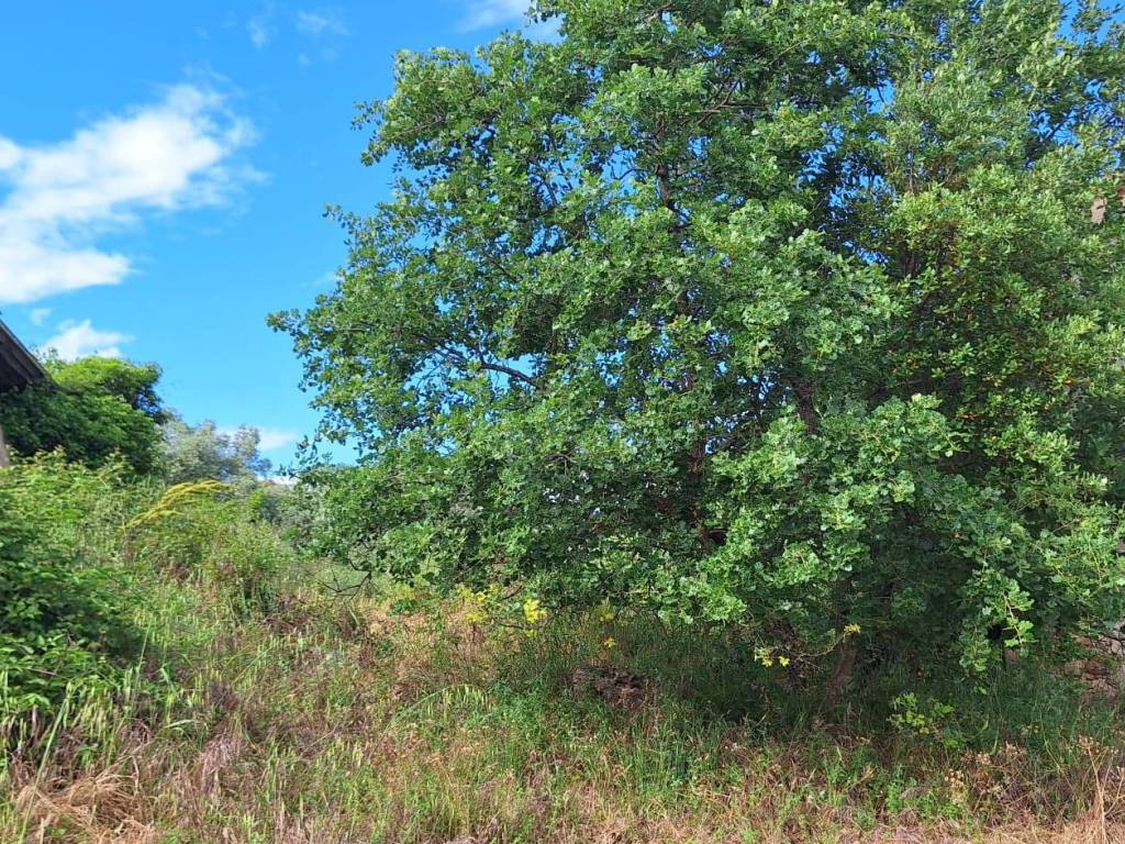 Rustico / casale a Roccastrada - Foto 4