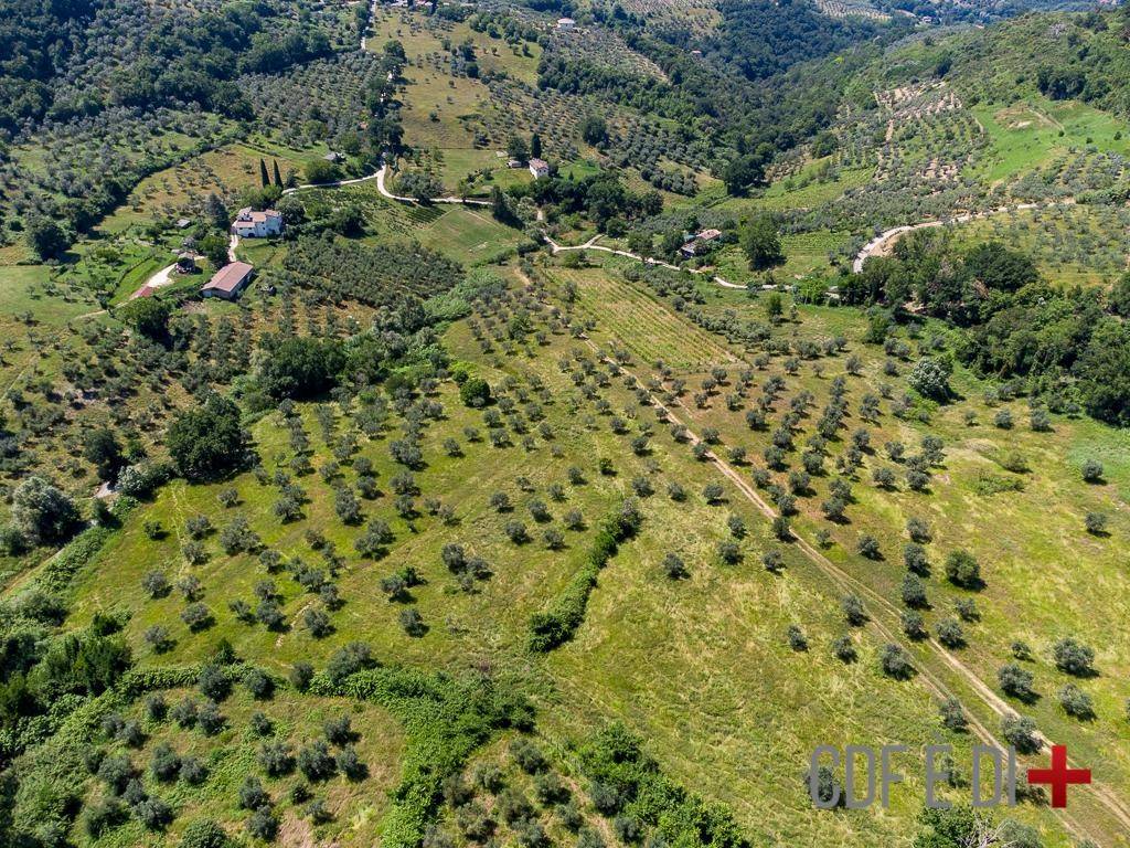 Terreno a Poggio mirteto in SP48 - Foto 3