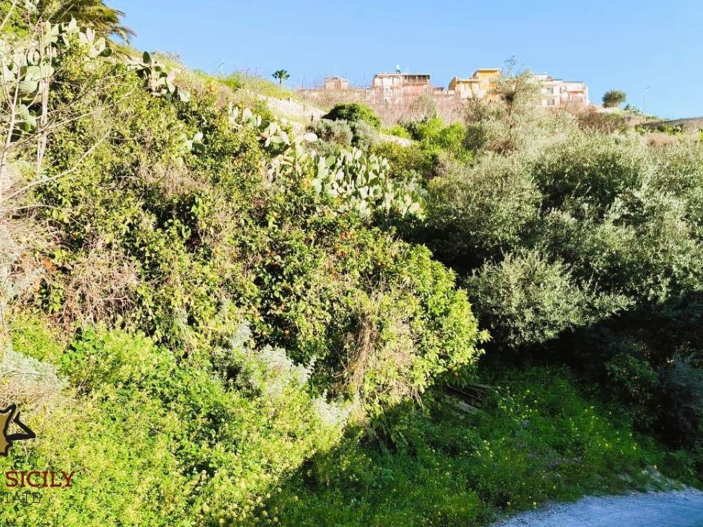 Terreno a Carlentini in contrada Fontanelle - Foto 3
