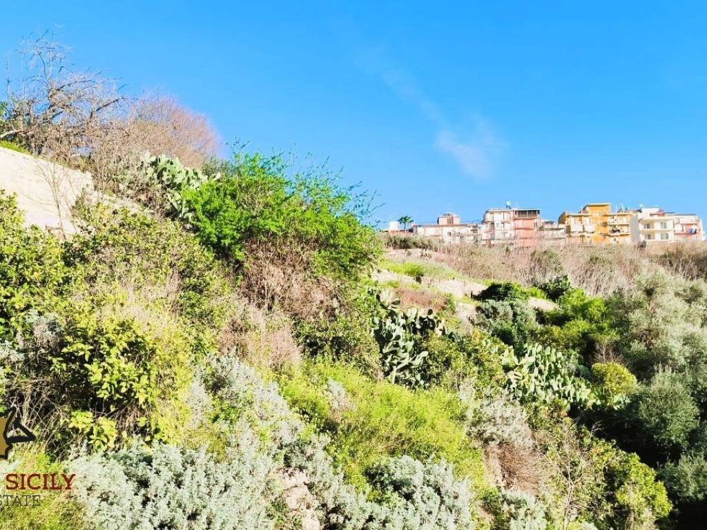 Terreno a Carlentini in contrada Fontanelle - Foto 4