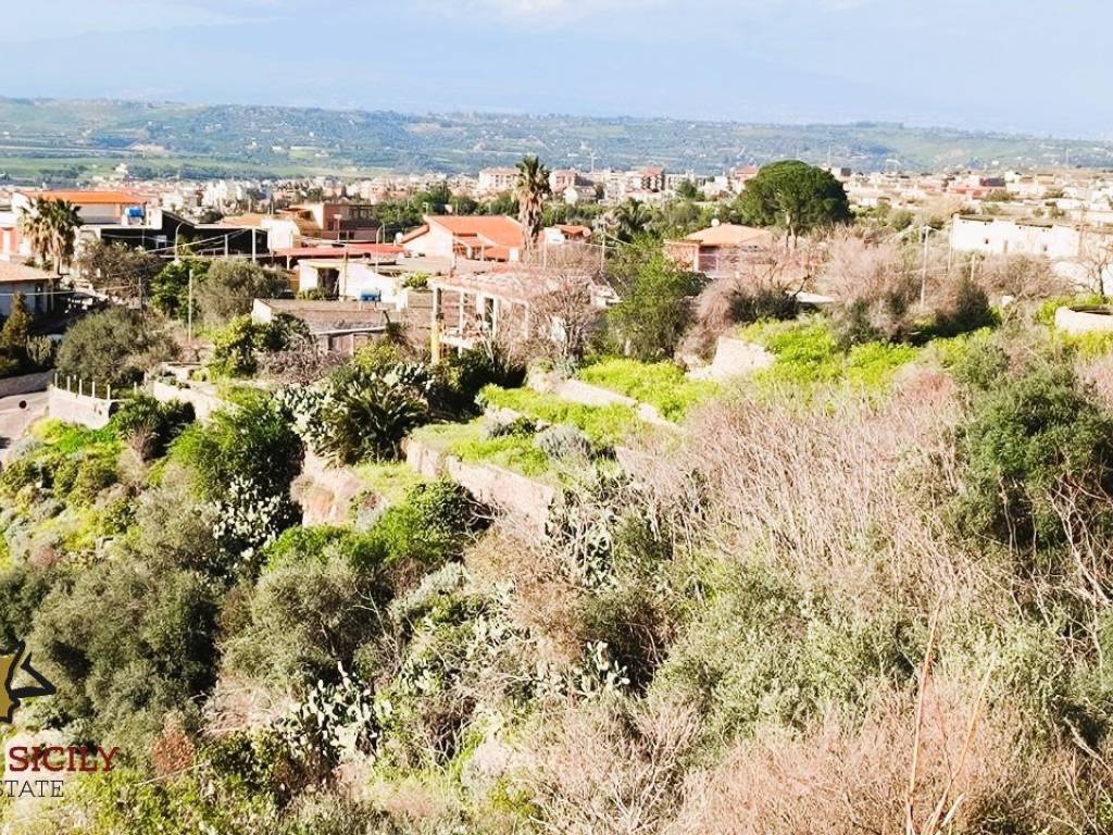 Terreno a Carlentini in contrada Fontanelle - Foto 5