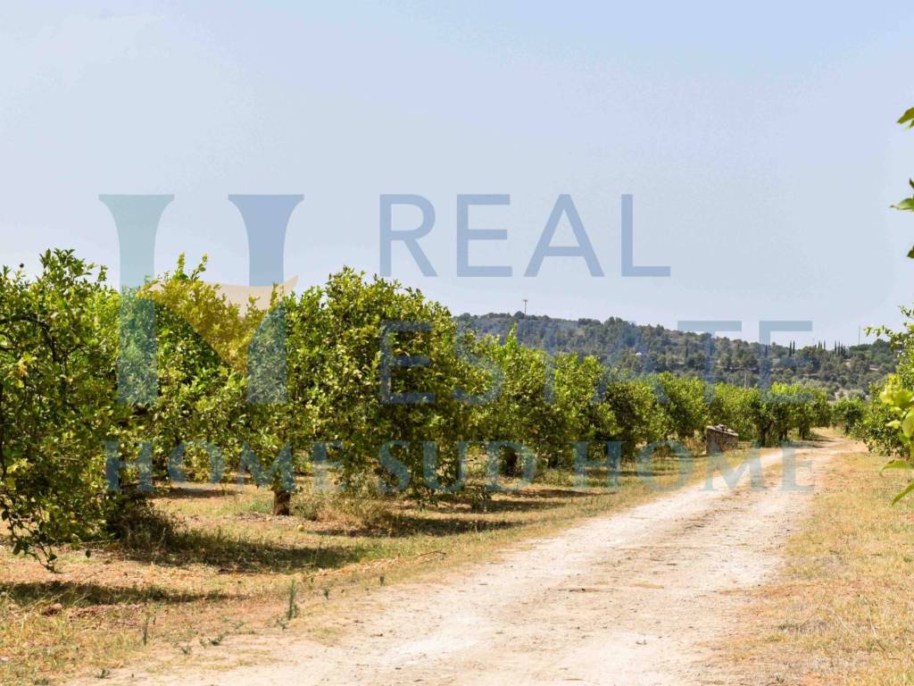 Terreno a Noto in Via Tommaso Fazello, 228 - Foto 2