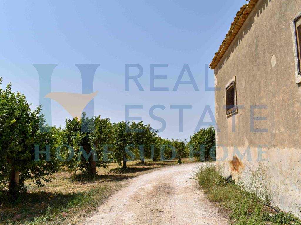 Terreno a Noto in Via Tommaso Fazello, 228 - Foto 4