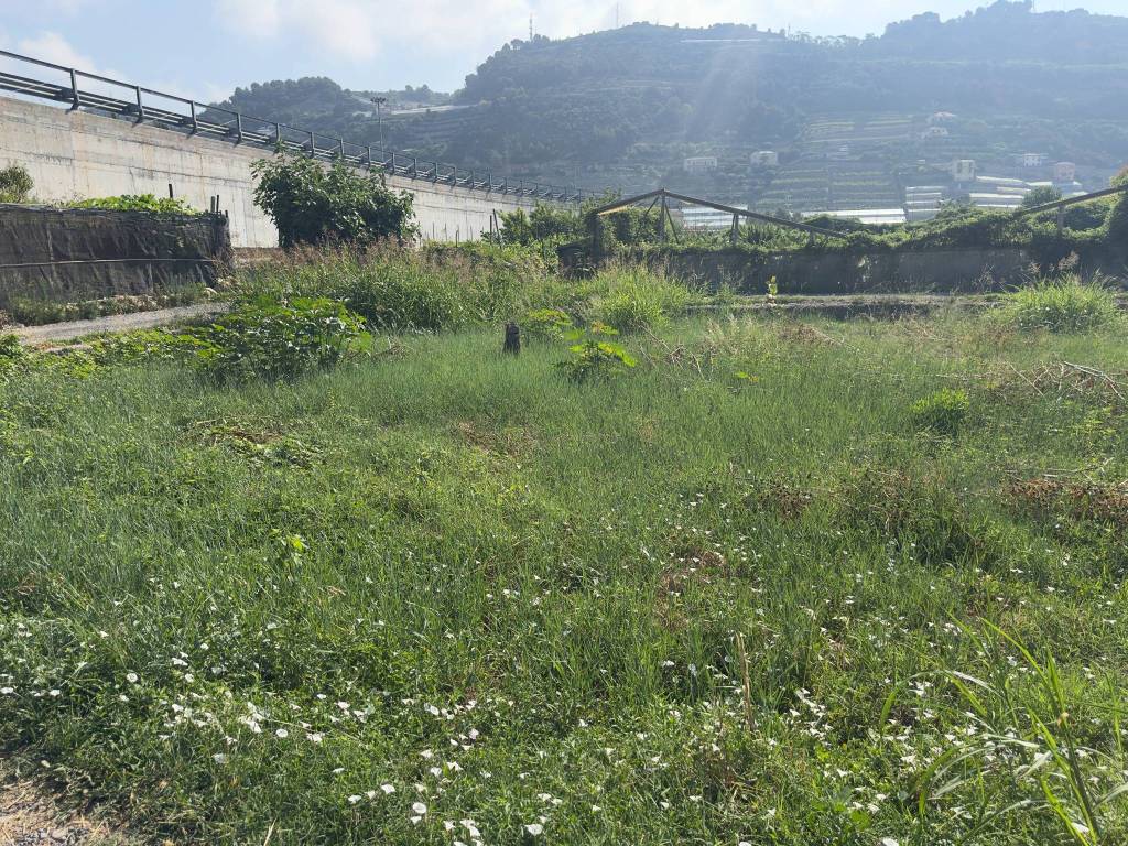 Rustico / casale a Taggia in Via San Francesco Traversa 5 - Foto 3