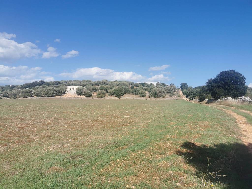 Terreno a Ostuni in Contrada San Paolo Piccolo - Foto 2
