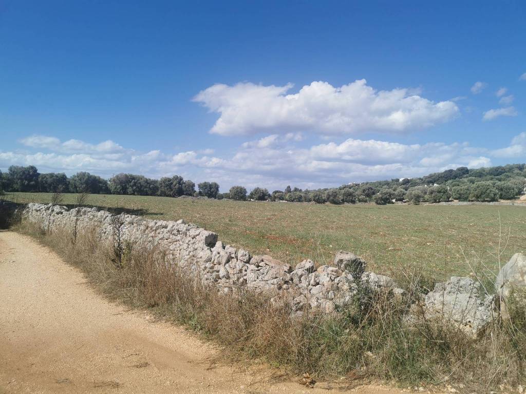 Terreno a Ostuni in Contrada San Paolo Piccolo - Foto 3