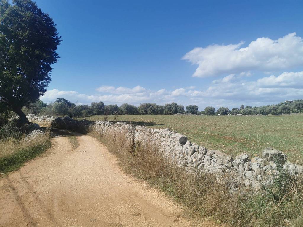 Terreno a Ostuni in Contrada San Paolo Piccolo - Foto 4