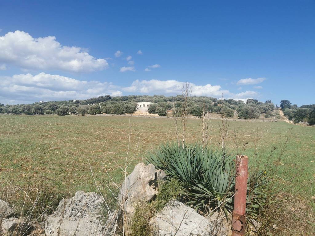 Terreno a Ostuni in Contrada San Paolo Piccolo - Foto 5