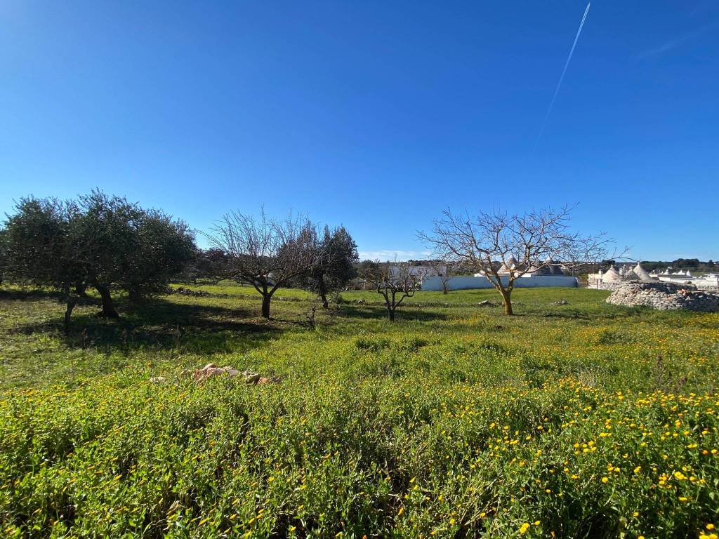 Rustico / casale a Martina franca in Strada Ferrari - Foto 5