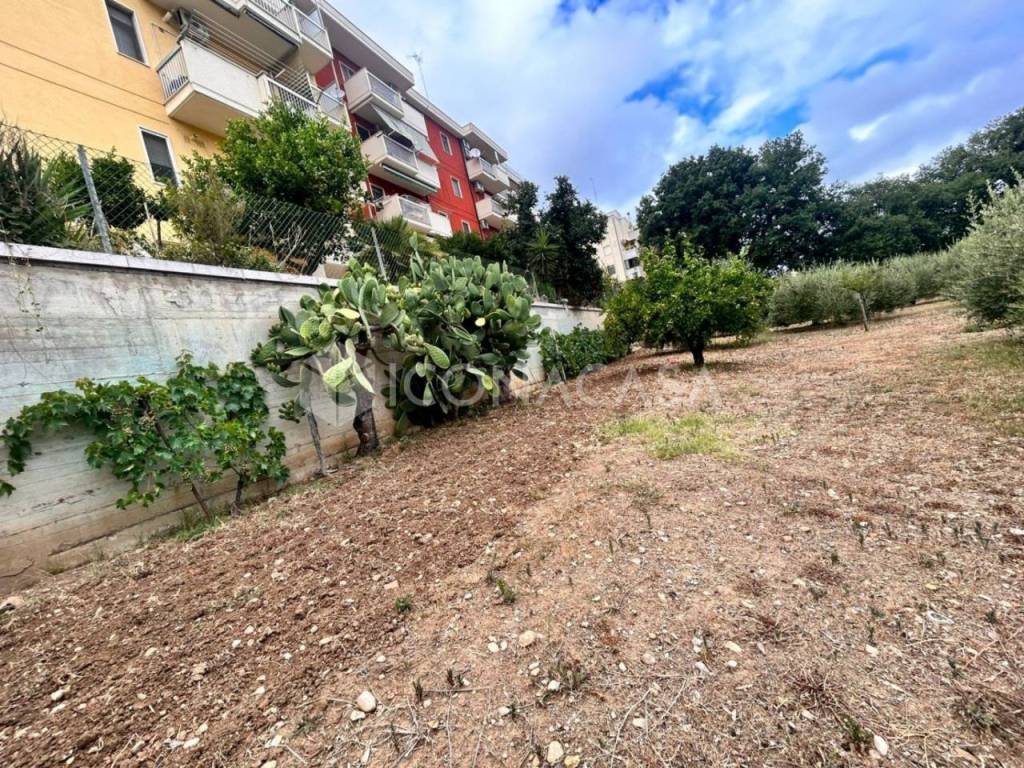 Terreno a Termoli in Via Giappone - Foto 4
