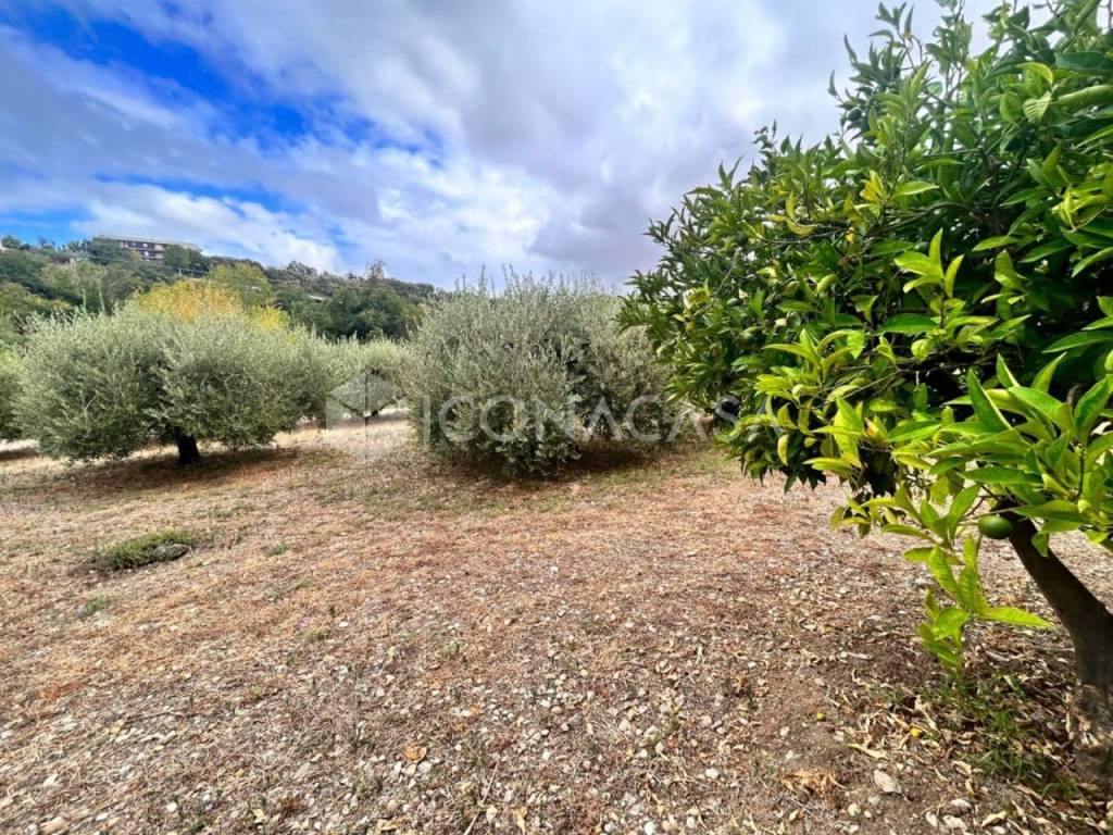 Terreno a Termoli in Via Giappone - Foto 5
