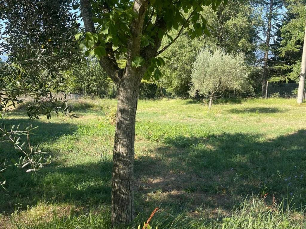 Rustico / casale a Assisi in Località San Rufino Campagna - Foto 2