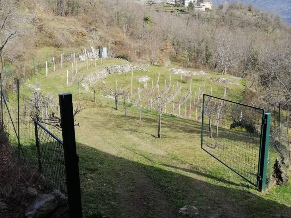 Terreno a Crevoladossola - Foto 3