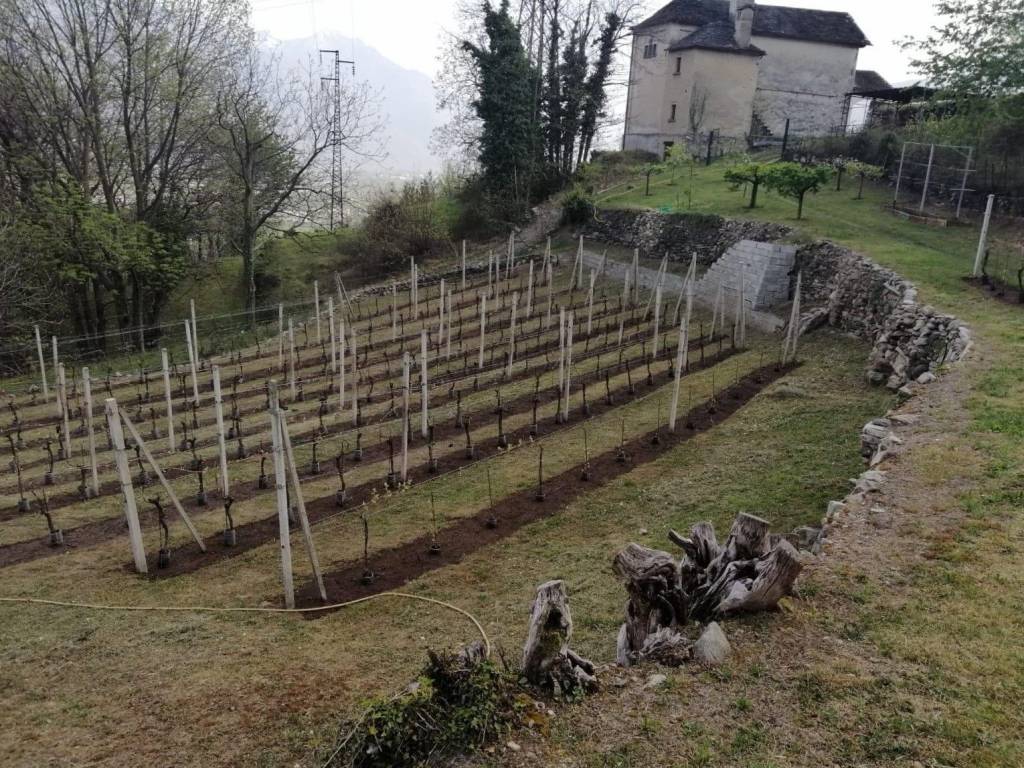 Terreno a Crevoladossola - Foto 4