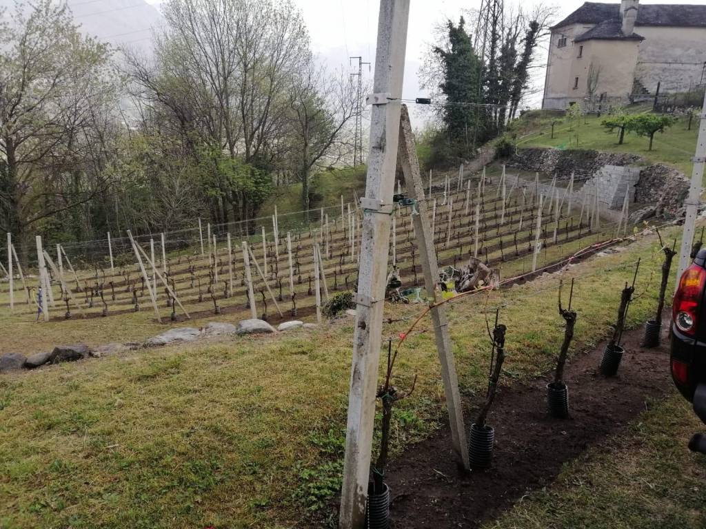 Terreno a Crevoladossola - Foto 5